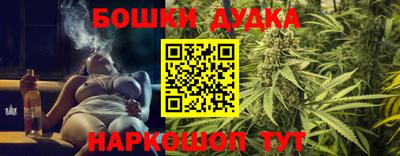 мдпв Новокубанск